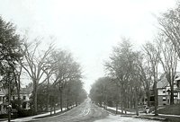 003259.jpg