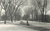 002068.jpg