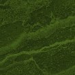 9I6.GIF
