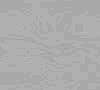 TXTR4850.GIF