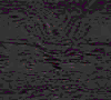 TXTR4849.GIF