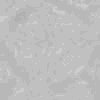TXTR4743.GIF