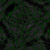 TXTR4742.GIF