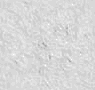 TXTR4687.GIF