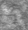 TXTR4679.GIF