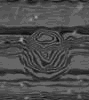 TXTR4536.GIF