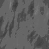 TXTR4419.GIF