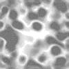 TXTR4339.GIF