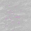 TXTR4319.GIF
