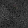 TXTR4265.GIF