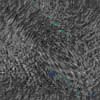 TXTR4263.GIF