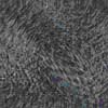 TXTR4262.GIF