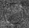 TXTR4206.GIF