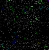 TXTR4144.GIF
