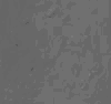 TXTR4085.GIF