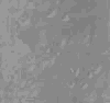 TXTR4074.GIF