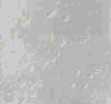 TXTR4052.GIF