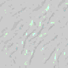 TXTR4010.GIF