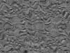 TXTR3970.GIF