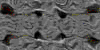 TXTR3969.GIF