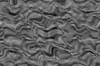 TXTR3959.GIF
