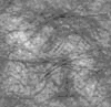 TXTR3947.GIF