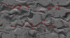 TXTR3903.GIF