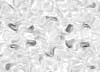 TXTR3891.GIF