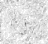 TXTR3886.GIF
