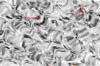 TXTR3884.GIF