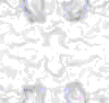 TXTR3878.GIF