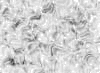 TXTR3864.GIF
