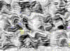 TXTR3861.GIF
