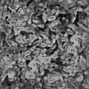 TXTR3859.GIF