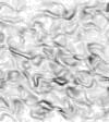 TXTR3853.GIF