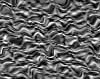 TXTR3850.GIF