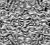 TXTR3847.GIF