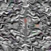 TXTR3842.GIF
