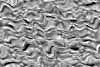 TXTR3841.GIF