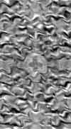 TXTR3831.GIF