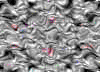TXTR3819.GIF