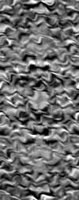 TXTR3818.GIF