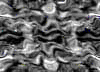 TXTR3816.GIF