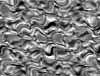 TXTR3815.GIF