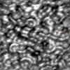 TXTR3809.GIF