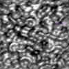 TXTR3808.GIF