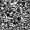 TXTR3807.GIF