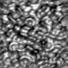 TXTR3806.GIF
