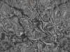 TXTR3751.GIF