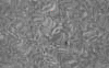 TXTR3746.GIF